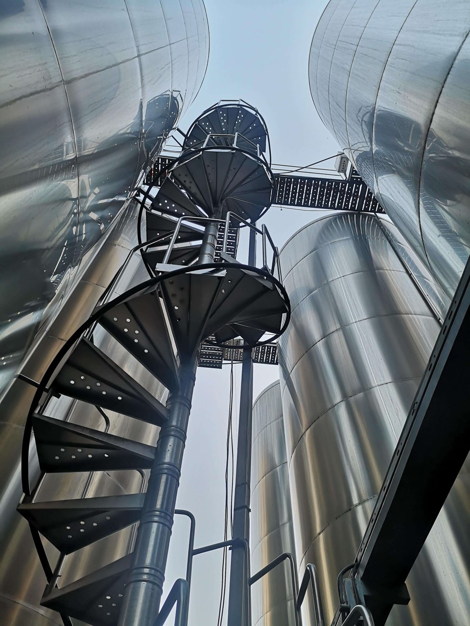 Cellar Stairs
